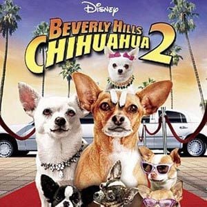 Foto Un chihuahua en Beverly Hills 2