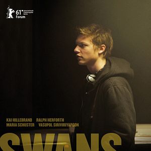 Foto Swans