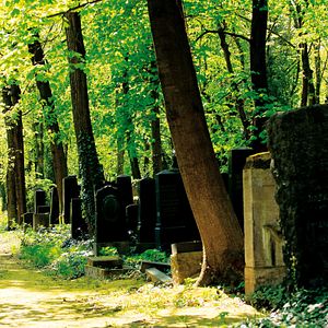 Foto Im Himmel, unter der Erde - Der jüdische Friedhof Weißensee