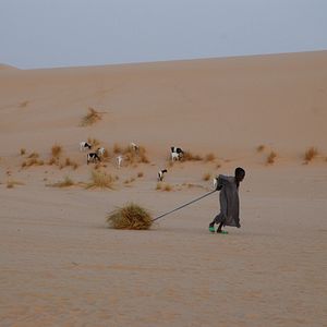 Foto Nathalie Borgers