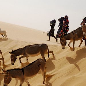 Foto Nathalie Borgers