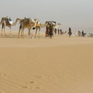 Foto Nathalie Borgers