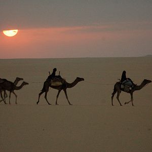 Foto Nathalie Borgers