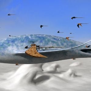 Foto Objetivo Terrum