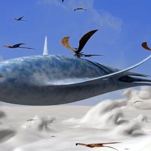 Foto Objetivo Terrum