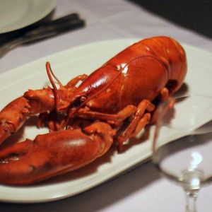 Foto Mein Bad Kreuznach