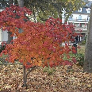 Foto Mein Bad Kreuznach