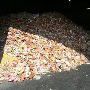 Foto Taste the Waste