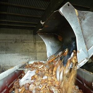 Foto Taste the Waste