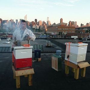 Foto Taste the Waste