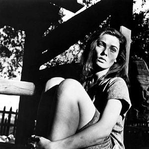 Foto La ruta del tabaco