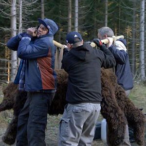 Foto Proyecto: Troll Hunter