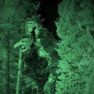 Foto Proyecto: Troll Hunter