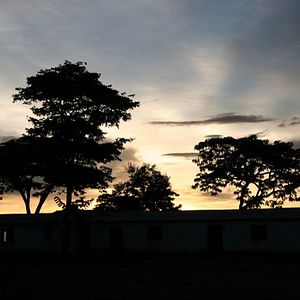 Foto El viaje de Jane