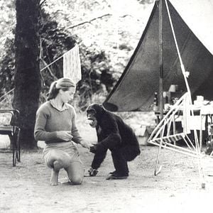 Foto El viaje de Jane