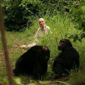 Foto El viaje de Jane