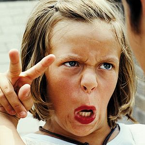 Foto El equipo tigre: la montaña de los mil dragones