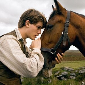 Foto War Horse (Caballo de batalla)