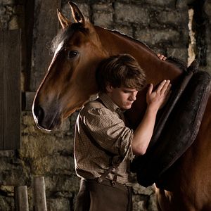 Foto War Horse (Caballo de batalla)