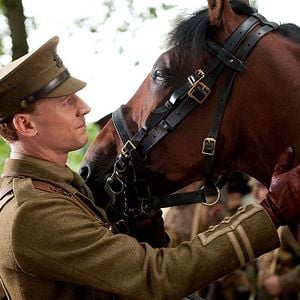 Foto War Horse (Caballo de batalla)
