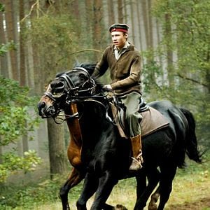 Foto War Horse (Caballo de batalla)