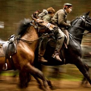Foto War Horse (Caballo de batalla)
