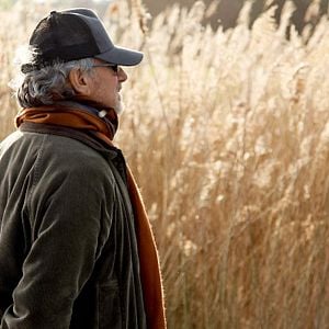 Foto War Horse (Caballo de batalla)