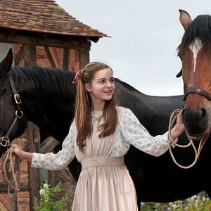 Foto War Horse (Caballo de batalla)