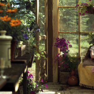 Foto De tu ventana a la mía