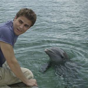 Foto Bajo el gran azul