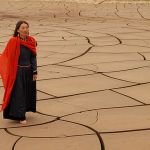 Foto Los dos caballos de Genghis Khan