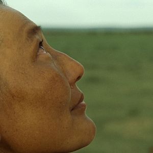 Foto Los dos caballos de Genghis Khan