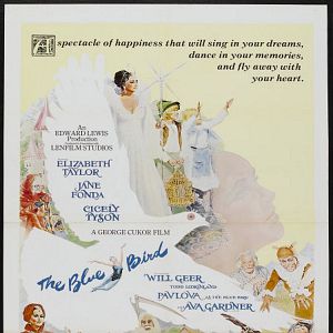 Foto El pájaro azul