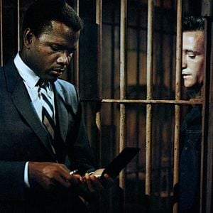 Foto En el calor de la noche