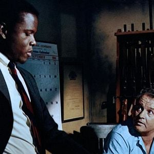 Foto En el calor de la noche