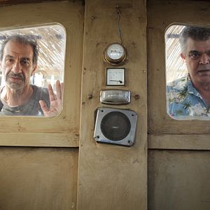 Foto Un cerdo en Gaza