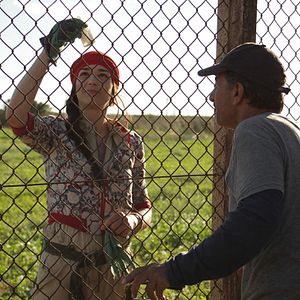 Foto Un cerdo en Gaza