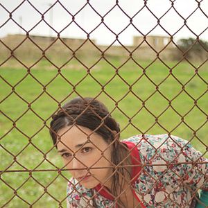 Foto Un cerdo en Gaza