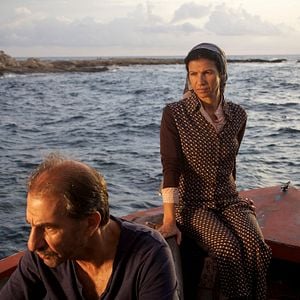 Foto Un cerdo en Gaza