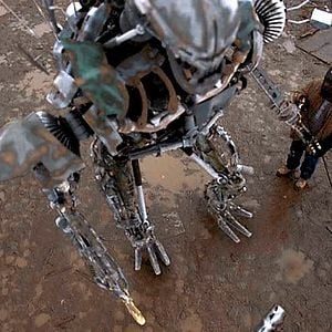 Foto Mutante metálico