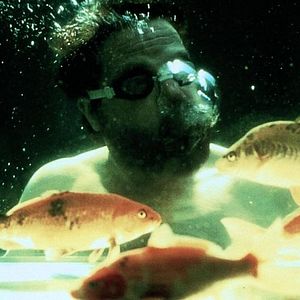 Foto Robinson Crusoe por un año