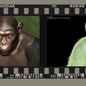 Foto El origen del planeta de los simios