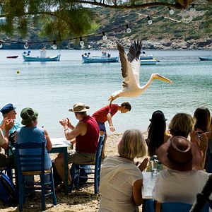 Foto Olivier Horlait