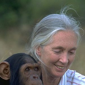 Foto Jane Goodall