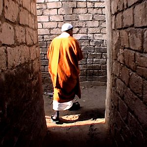 Foto Paraboles (Mafrouza 5)