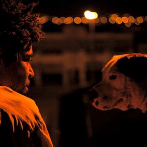 Foto Nuvem - Le poisson lune