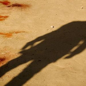 Foto Django desencadenado