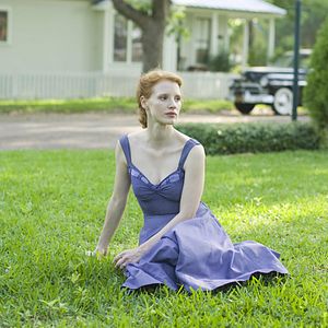 Foto El árbol de la vida