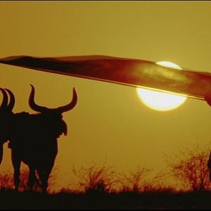 Foto Bollywood: The Greatest Love Story Ever Told