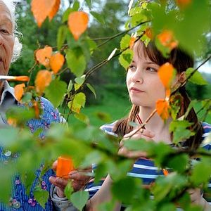 Foto Ein Tick anders